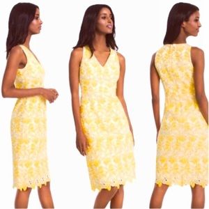 White House Black Market Lace Sheath Women’s Dress - 6